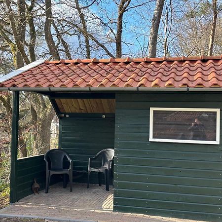 Vakantiehuis De Witte Bergen IJhorst Экстерьер фото